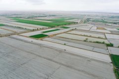 <strong>科技绘就新疆春耕新图景</strong>
